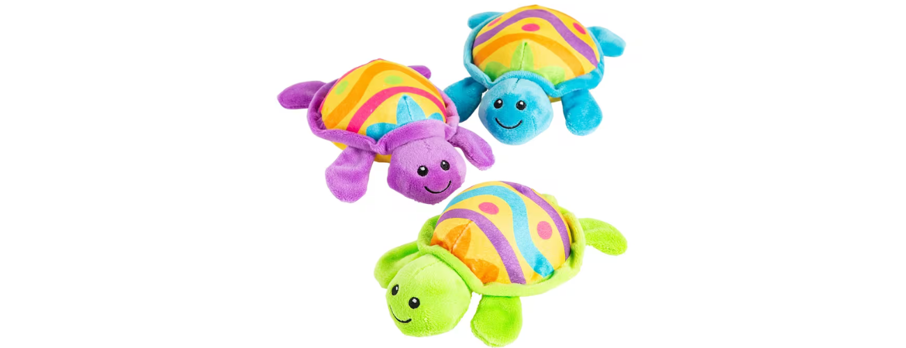 Tortoises